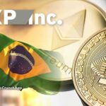 XP Inc. Luncurkan Platform Kripto Agustus 2022